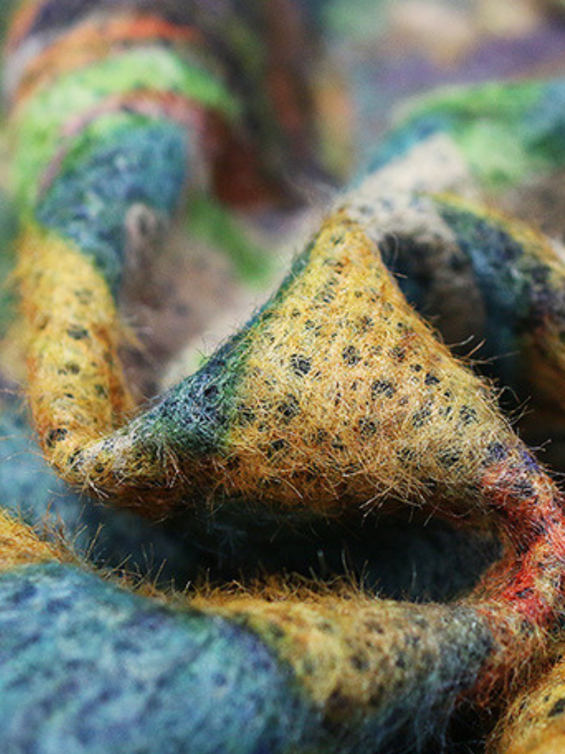 Women's Printed  Cardigan