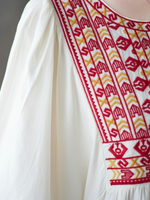 Women's embroidery A-Line Dress