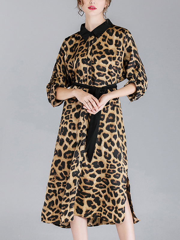 Ivy vintage contraste com lapela pescoço estampa de animal abotoado com cinto midi vestido