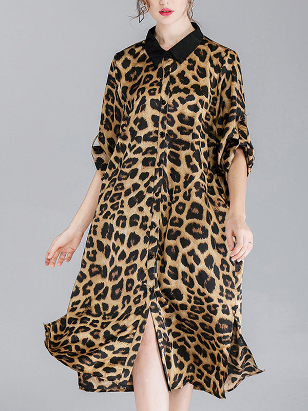 Ivy vintage contraste com lapela pescoço estampa de animal abotoado com cinto midi vestido