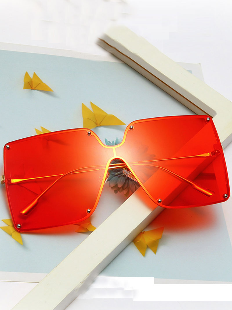 Journey to Success SunglassSes