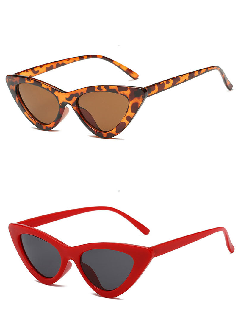 Convient aux lunettes de soleil d'action