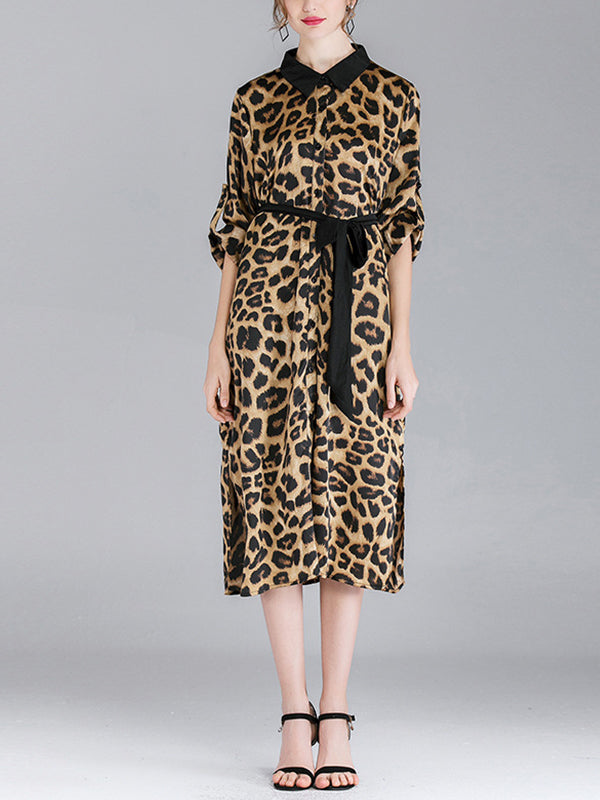 Ivy vintage contraste com lapela pescoço estampa de animal abotoado com cinto midi vestido