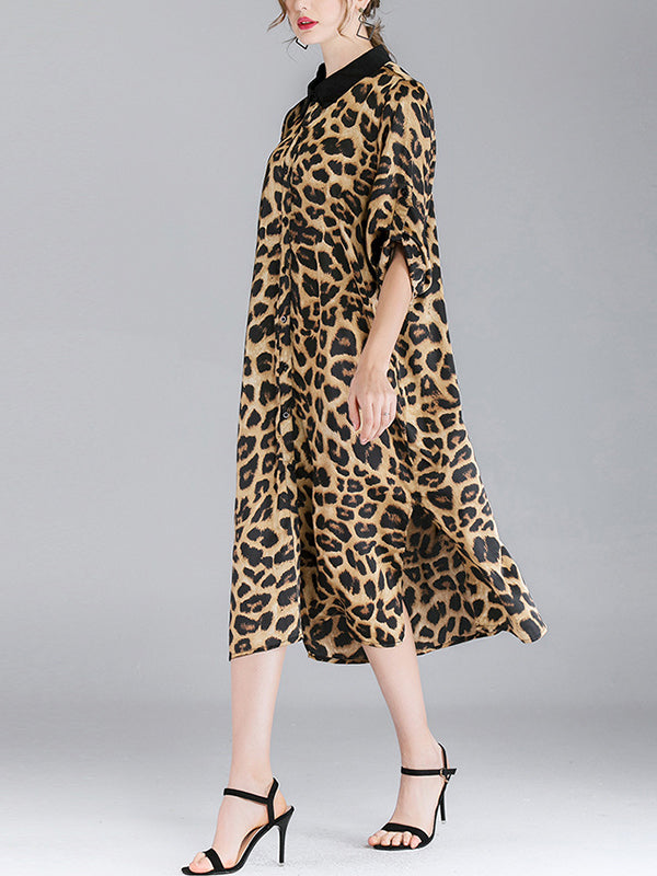 Ivy vintage contraste com lapela pescoço estampa de animal abotoado com cinto midi vestido